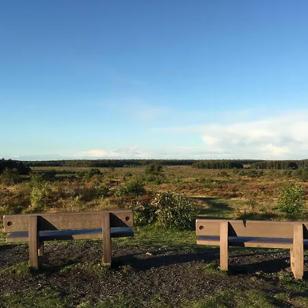 De Beers Huus - Holte-spangen *