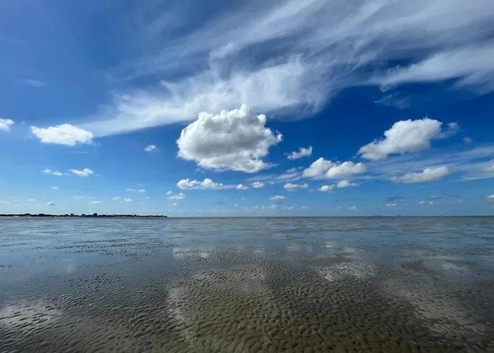 De Beers Huus - Holte-spangen